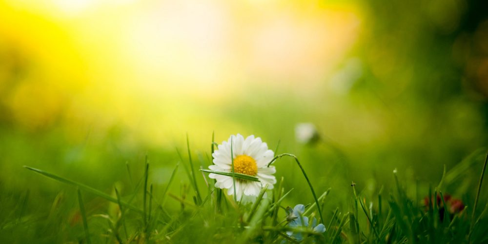 Sommarprogram på Solhaga vid Sävsjön, Sävsjö