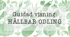 Hållbar odling