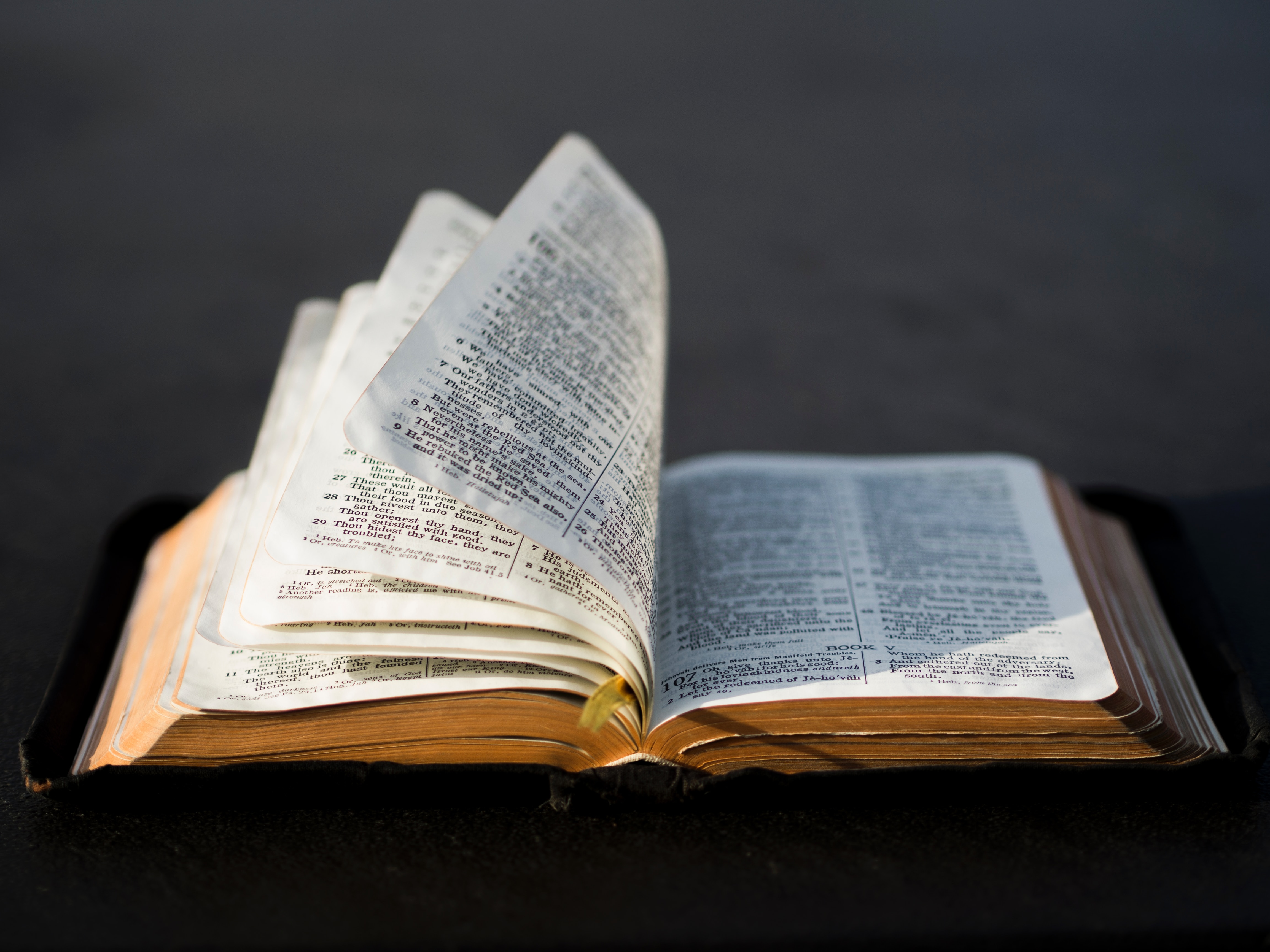 Uppsala Bible Training – modul 4