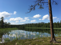 Kulningskurs i fjällmiljö med Katarina Hallberg 21-23 maj 2020