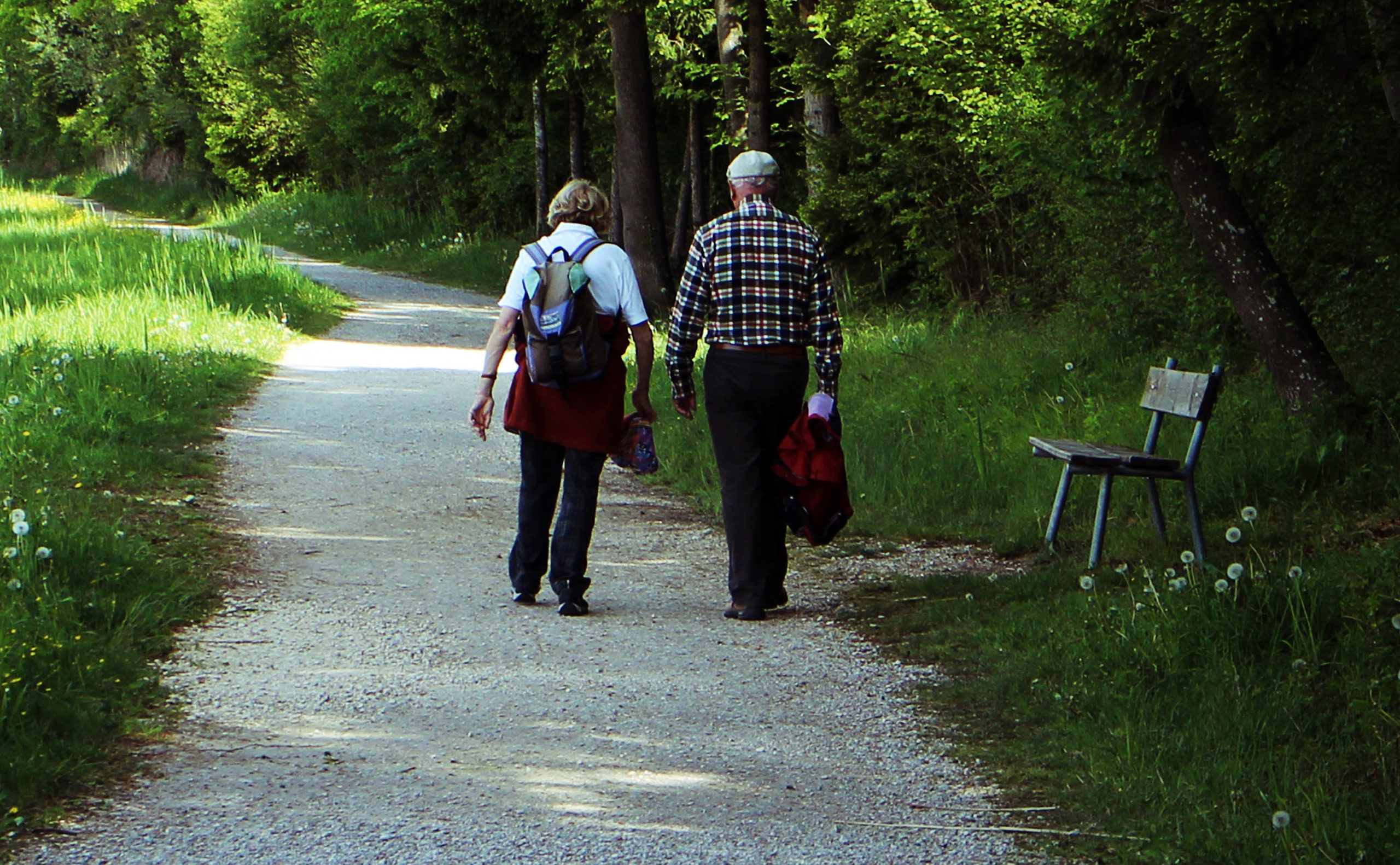 Promenad Och Samtal | Studieförbundet Bilda